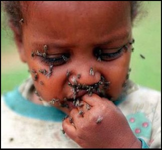 Neglected Tropical Diseases